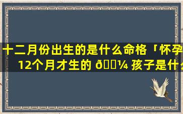 十二月份出生的是什么命格「怀孕12个月才生的 🐼 孩子是什么命」